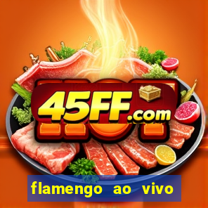 flamengo ao vivo hd play